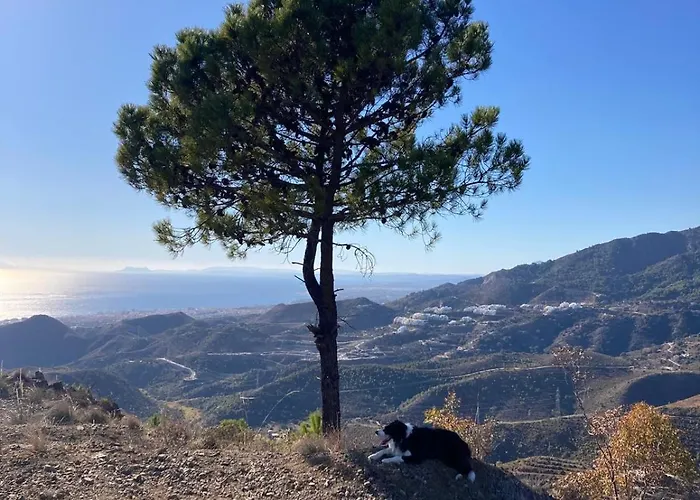 公寓 El Mirador By Bh 马尔韦利亚