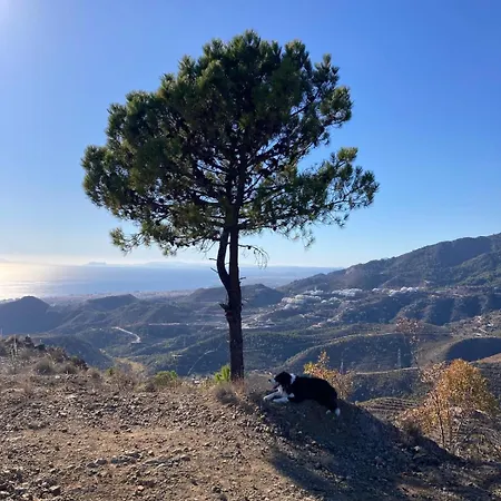 Apartment El Mirador By Bh Marbella